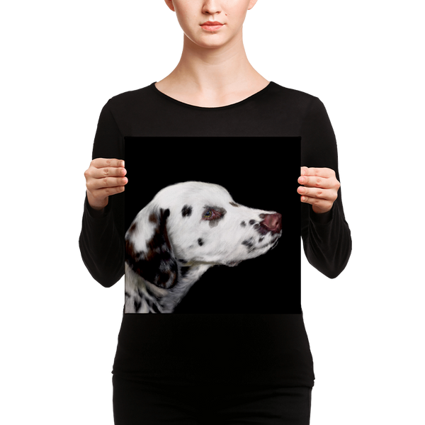 Oliver Canvas